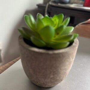 Vibrant Green Faux Floral Succulent in Tan Pot